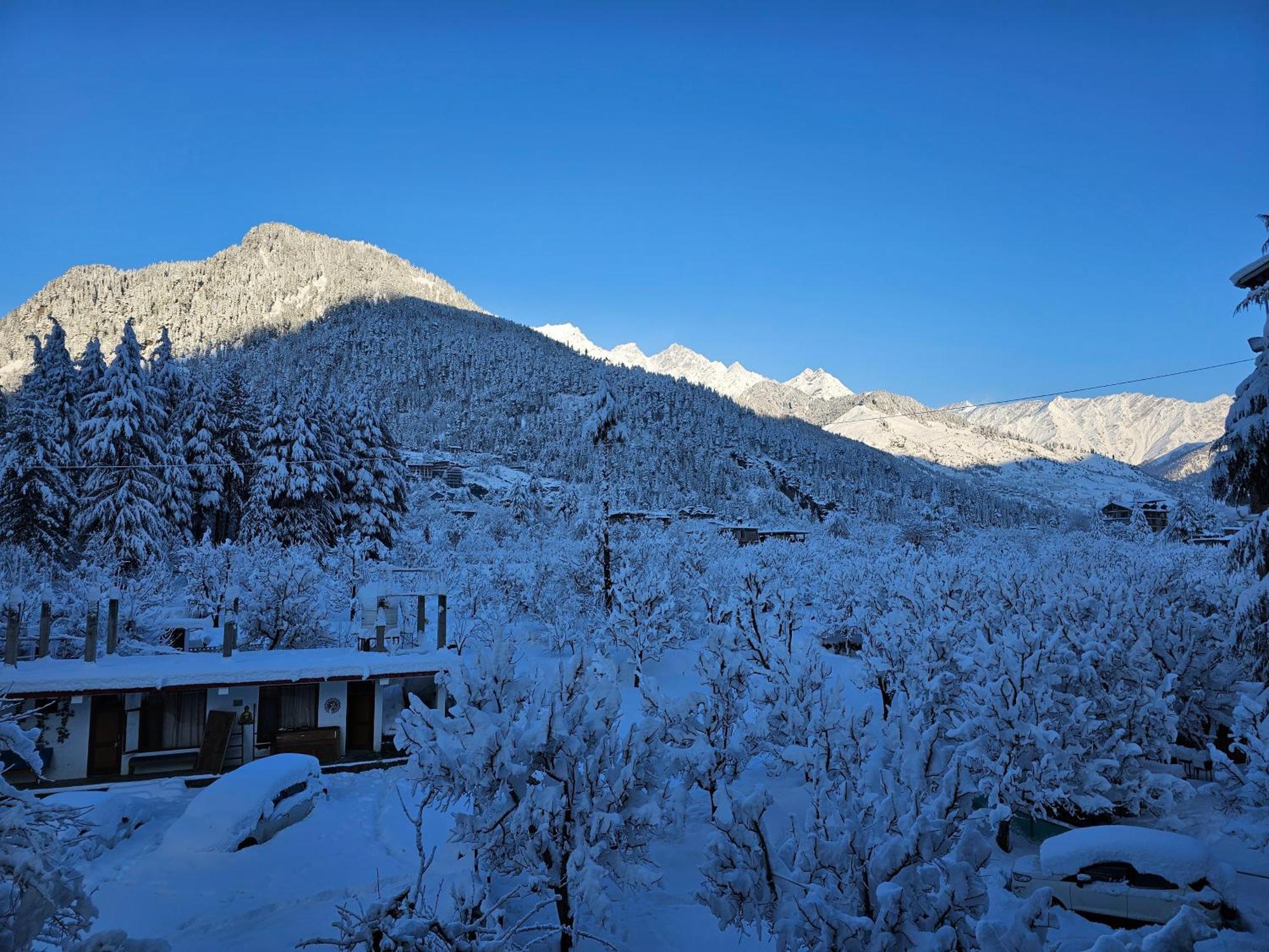 Mountain View Hotel, Manali